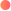 NextGen Venture